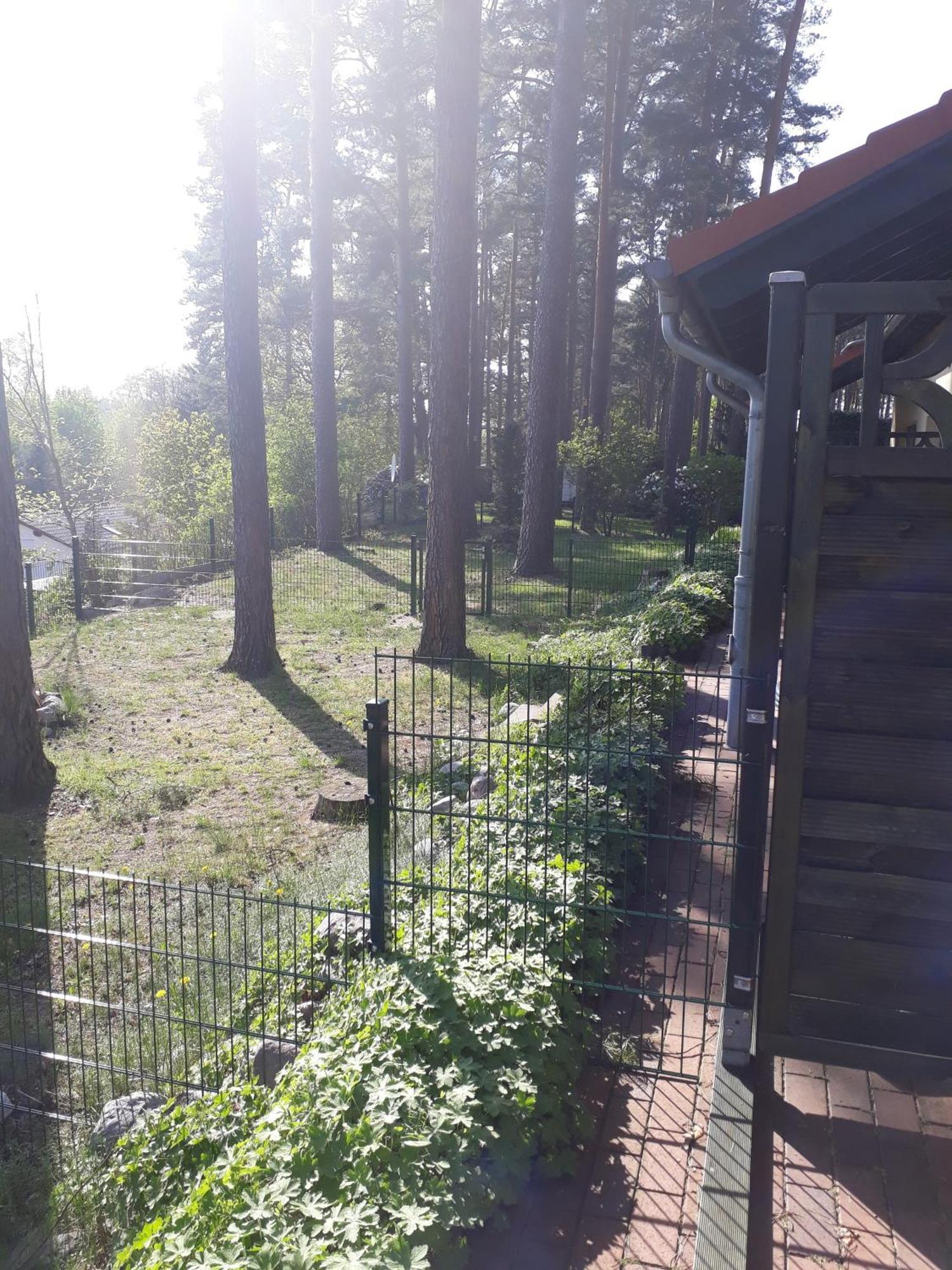 Ferienhaus Waldschneise B Am Jabeler See 外观 照片